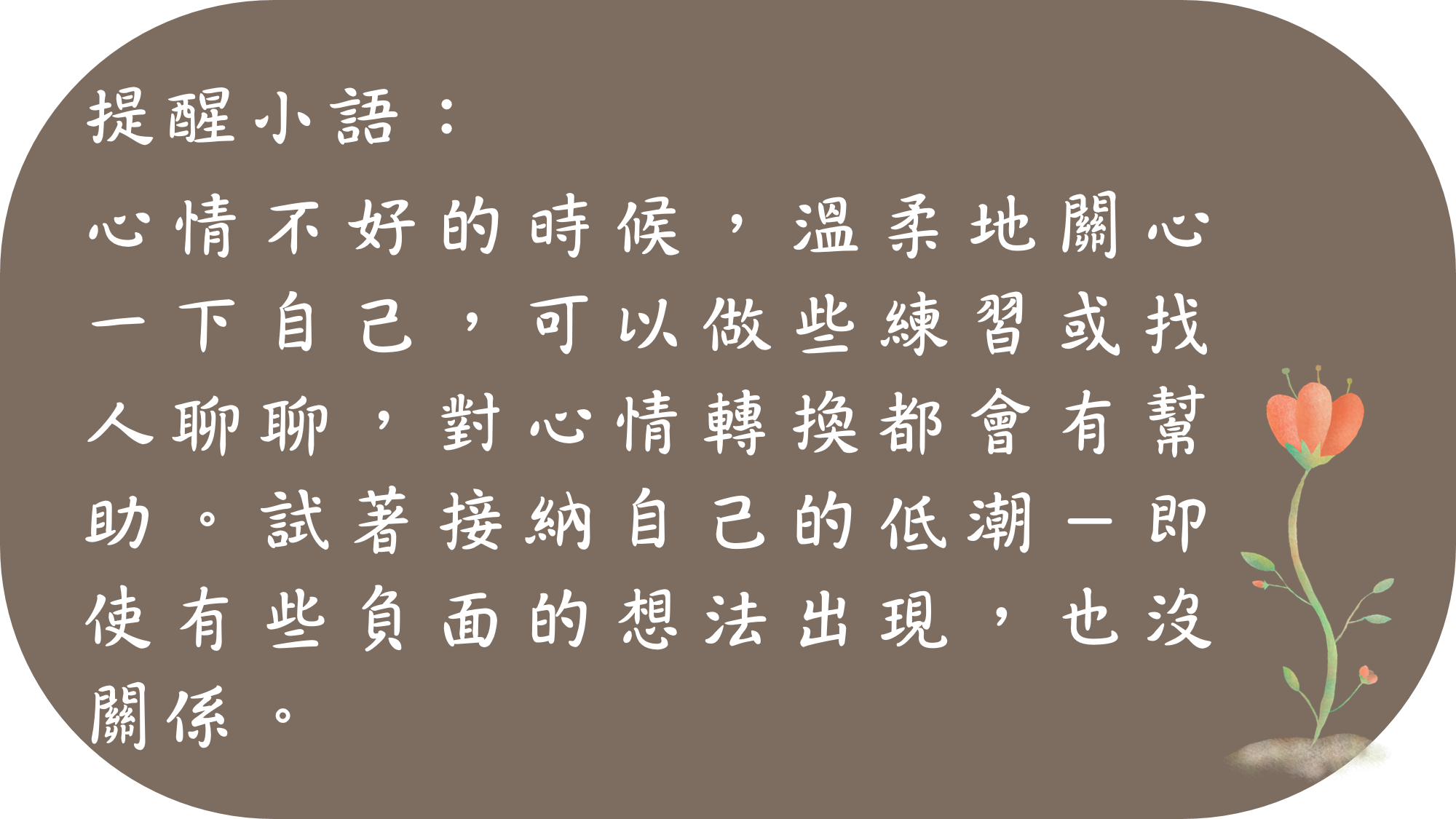 定心正念學習網 圖片