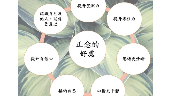 定心正念學習網 圖片