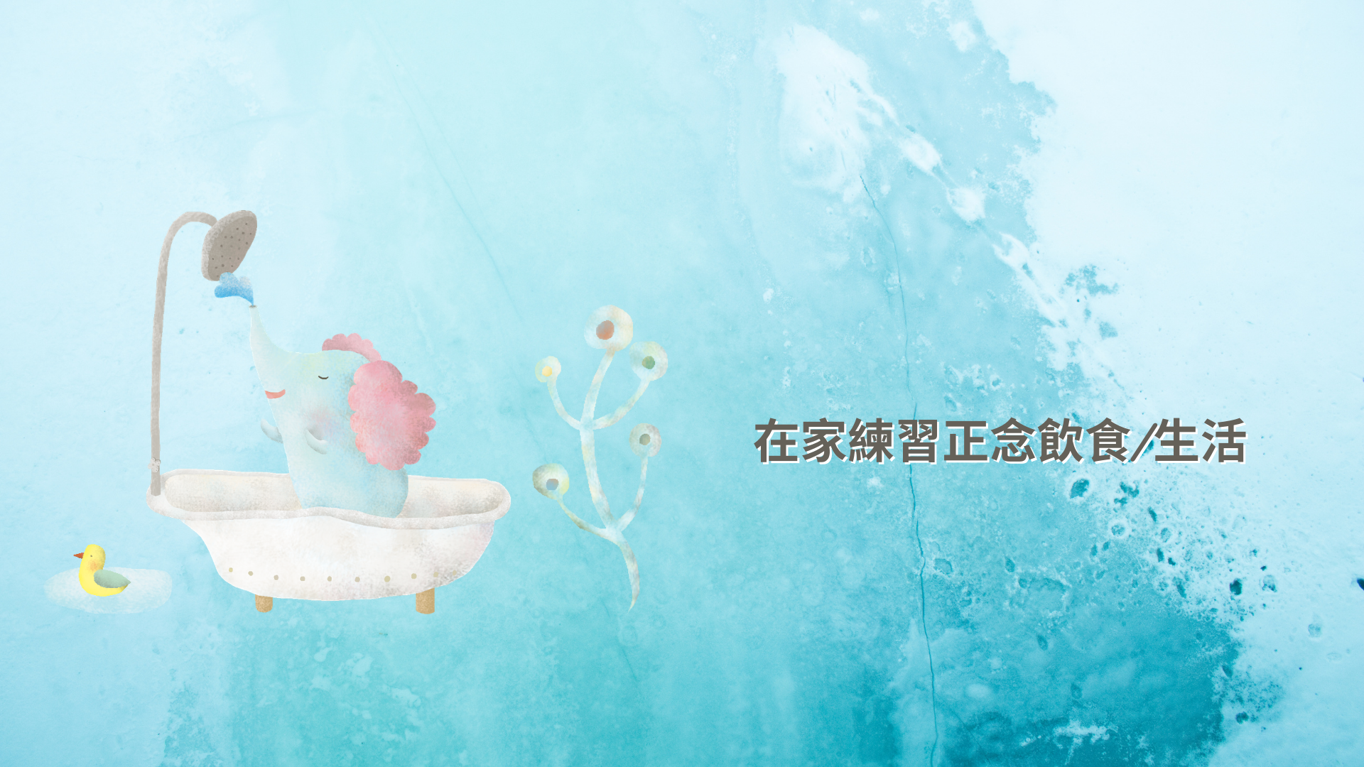 定心正念學習網 圖片